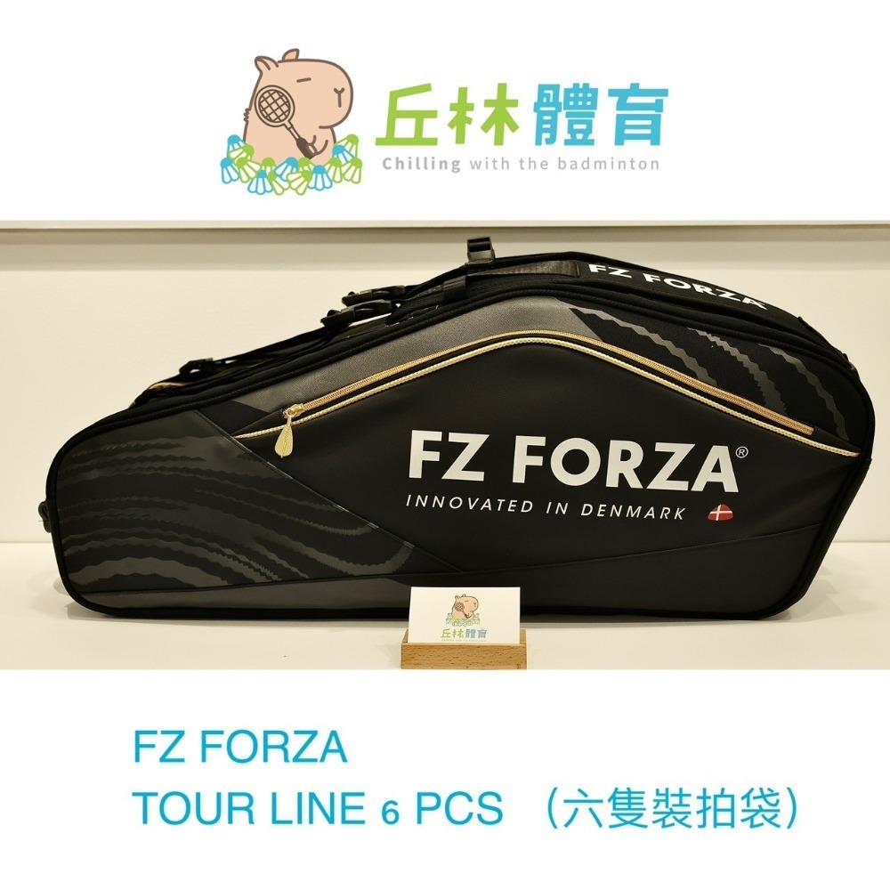 丘林體育Chilling | FZ FROZA羽球拍袋 | Tour Line | 球袋 | 矩形包 | 6支裝 CP值-規格圖9