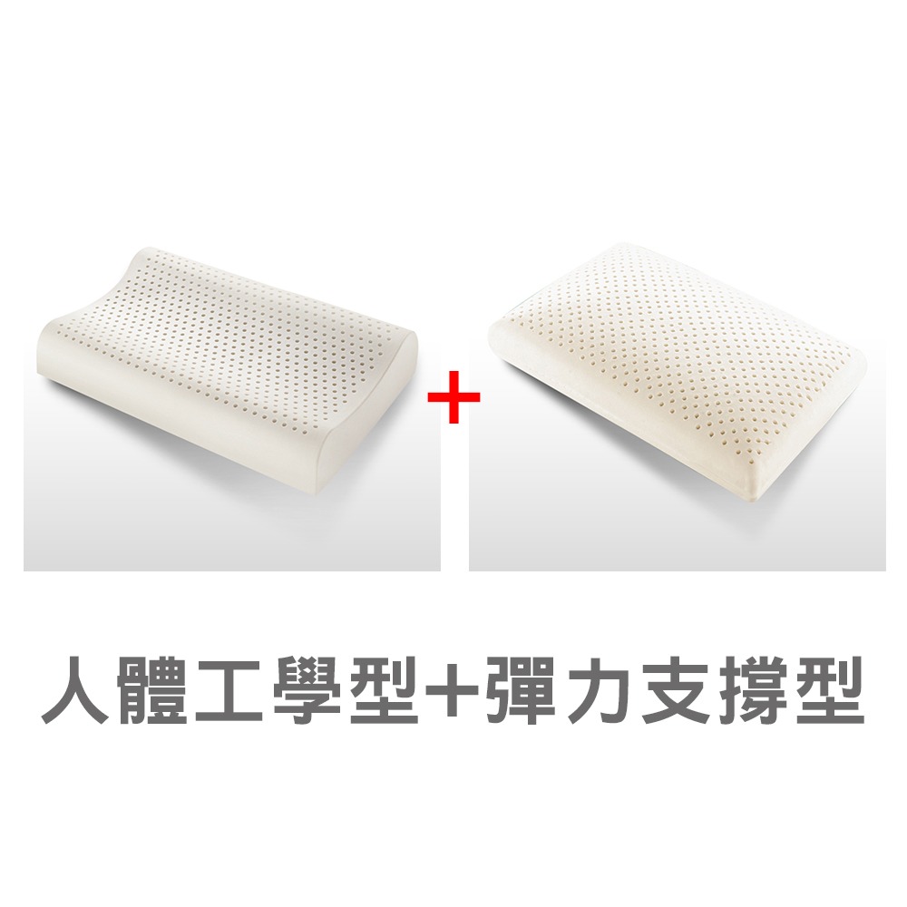 人體工學型+彈力支撐型 (超值兩入)