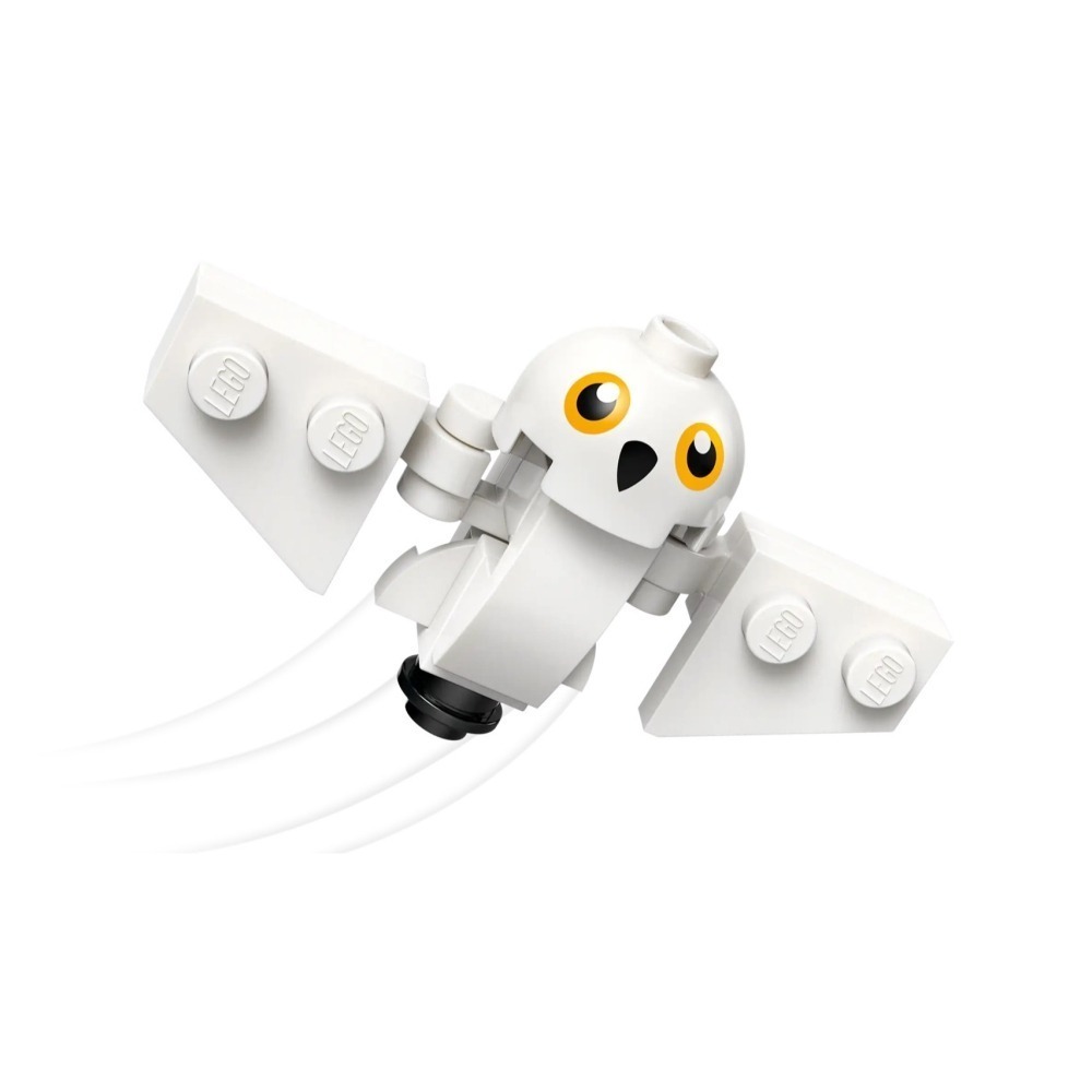 [Home&Brick] LEGO 76443  Hagrid™ & Harry＇s Motorcycle Ride-細節圖5