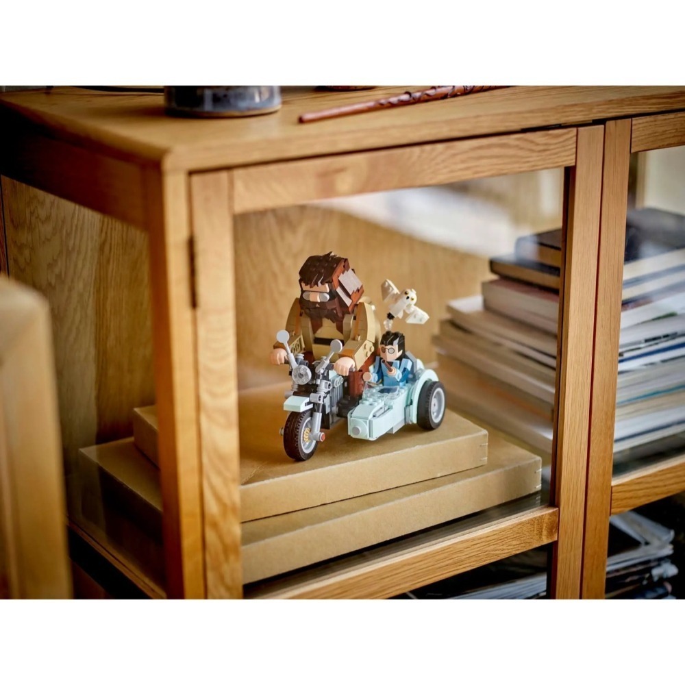 [Home&Brick] LEGO 76443  Hagrid™ & Harry＇s Motorcycle Ride-細節圖6