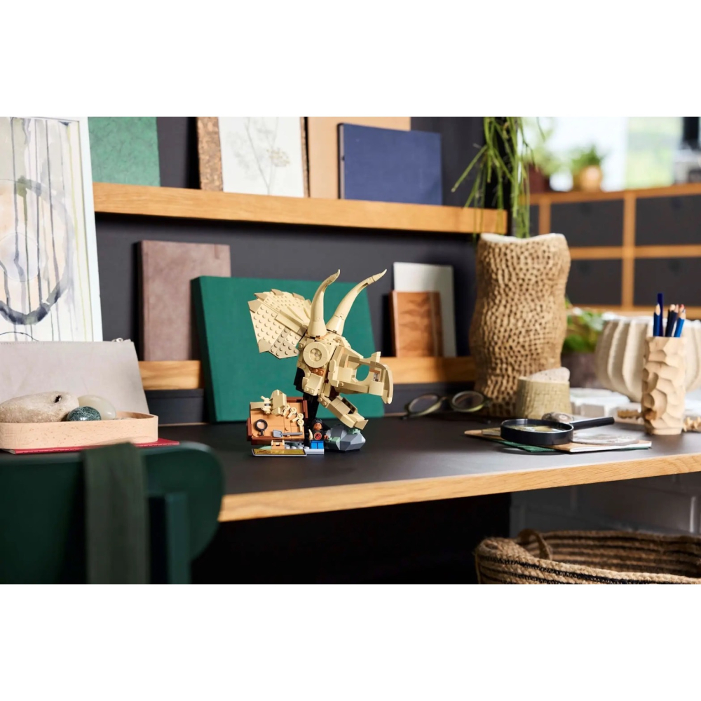 [Home&Brick] LEGO 76969 恐龍化石：三角龍頭骨-細節圖5