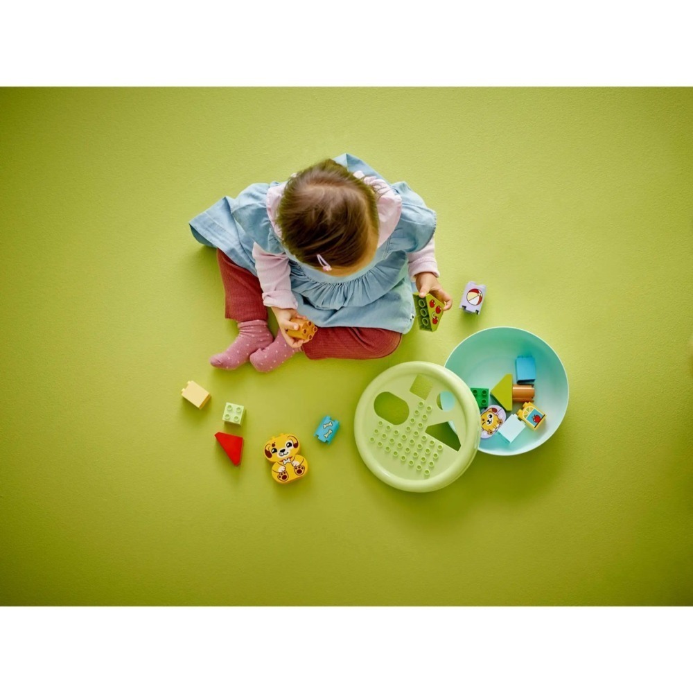 [Home&Brick] LEGO 10441 形狀分類趣：小狗屋-細節圖7