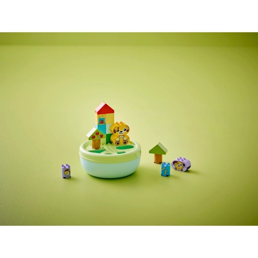 [Home&Brick] LEGO 10441 形狀分類趣：小狗屋-細節圖8