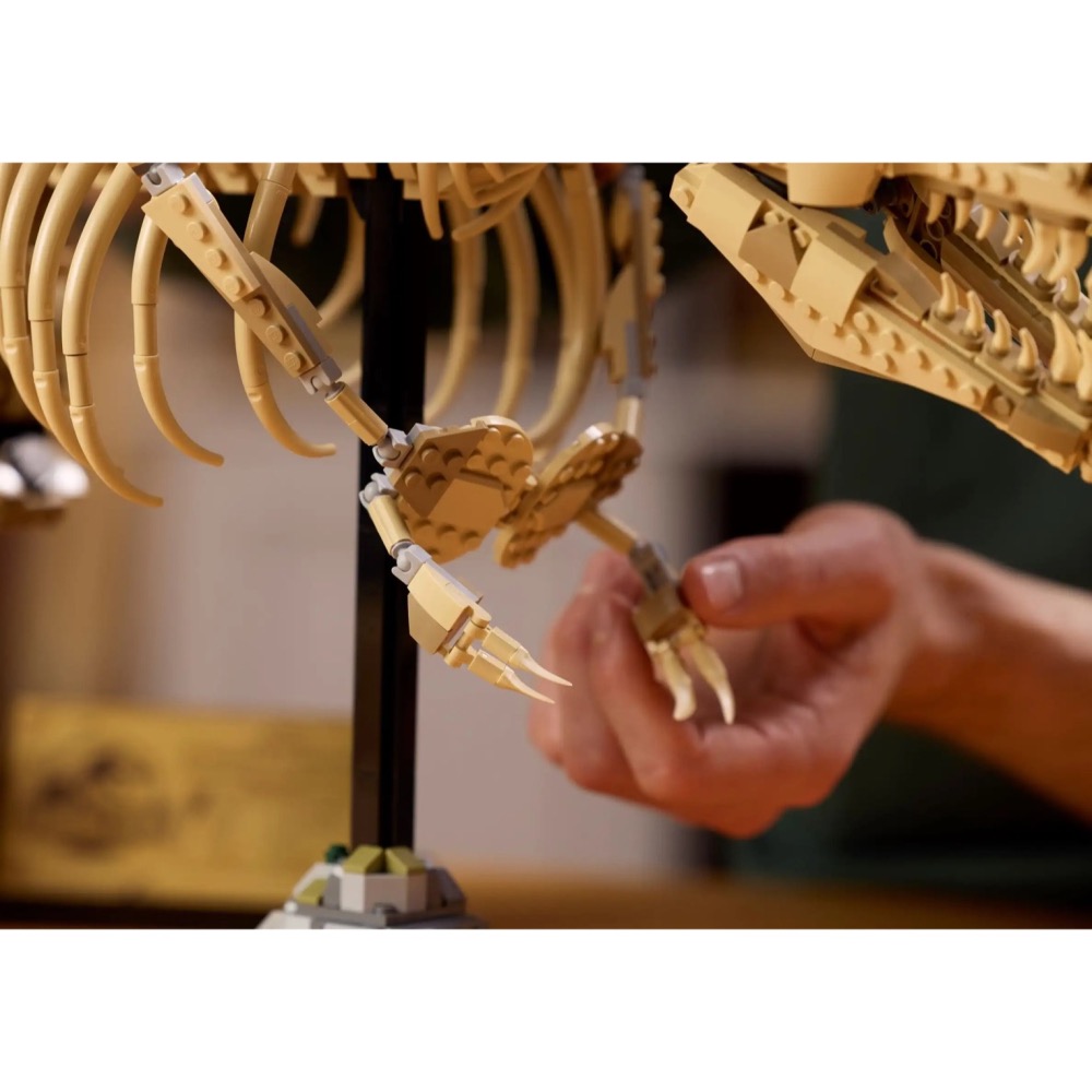 [Home&Brick] LEGO 76968 恐龍化石：暴龍-細節圖6