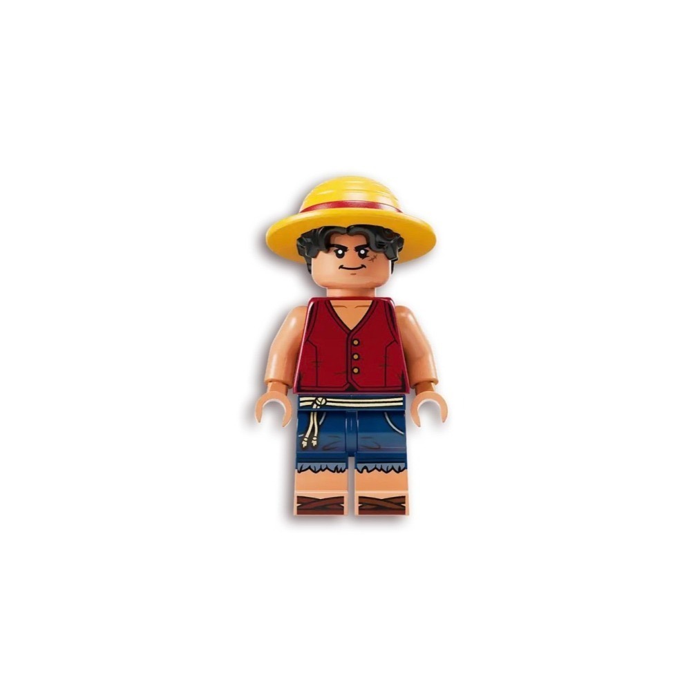 [Home&Brick] LEGO 75639 拆賣人偶:Luffy