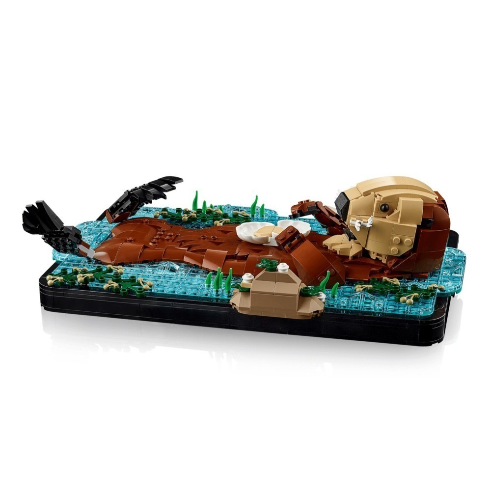 [Home&Brick] LEGO 21366 漂浮海獺-細節圖2