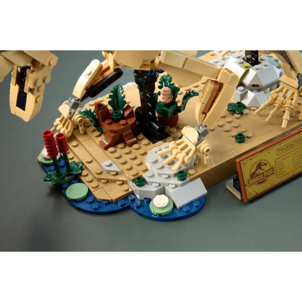 [Home&Brick] LEGO 77985 恐龍化石：三角龍-細節圖7