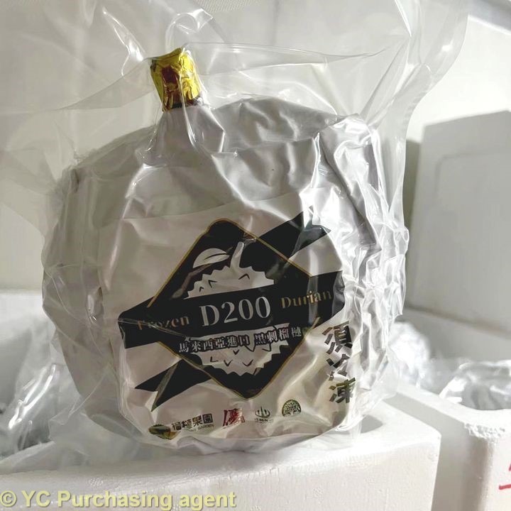 黑刺榴槤-㊙【現貨】-帶殼液態氮冷凍D200(單顆)-最名貴的榴槤名種-樹上黃金-非常稀少全球老饕爭相搶購-細節圖3