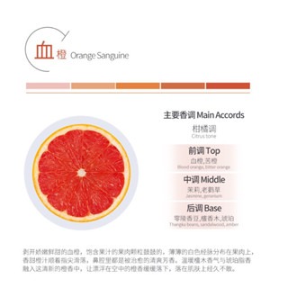 旋轉星球車載香薰 ｜ 香片 ｜ 梵高星空 ｜車用 ｜風扇夾 ｜ 旋轉散香 ｜車載相片 ｜ 植物香氛-細節圖7