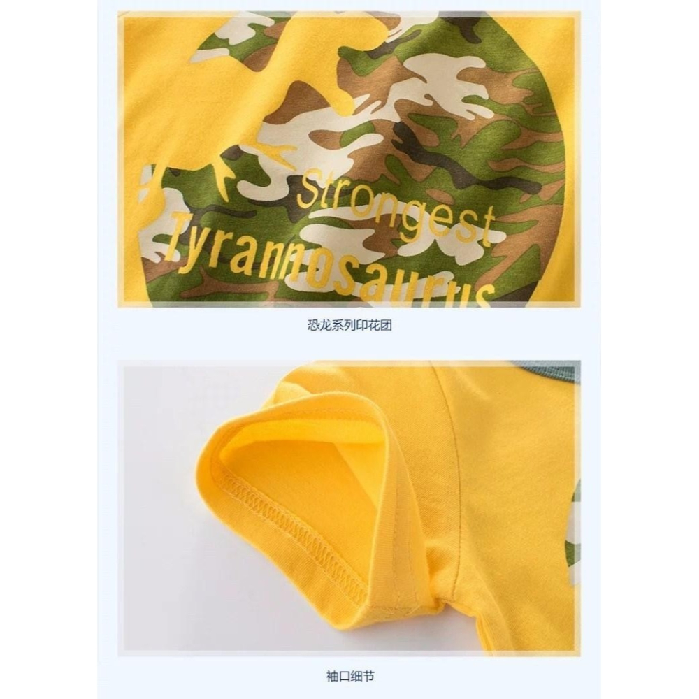 兒童恐龍純棉T恤-H0031-細節圖3