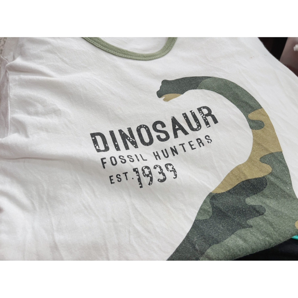 兒童恐龍純棉T恤-H0031-細節圖5