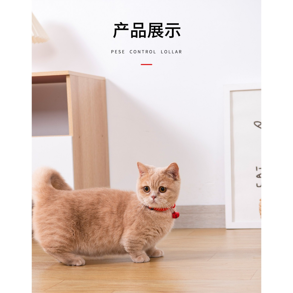 寵物加強版除跳蚤項圈(帶鈴鐺)	-B0655-細節圖8