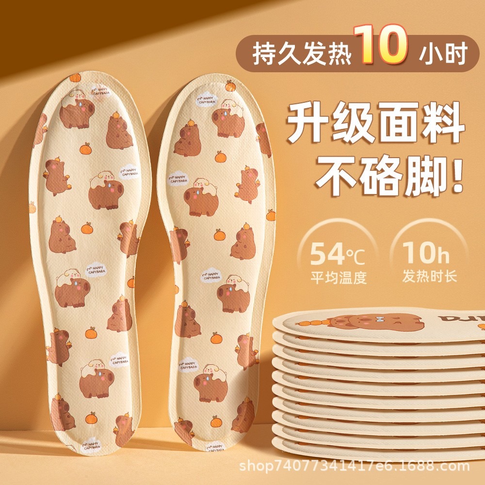 卡通自發熱暖鞋墊一組5雙-F0207-細節圖3