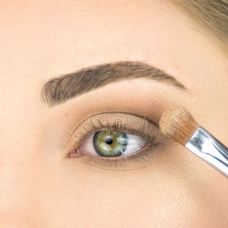 【愛來客】☆美國Sigma官方授權經銷商☆E54 - MEDIUM SWEEPER™ BRUSH 基礎眼影刷-細節圖3