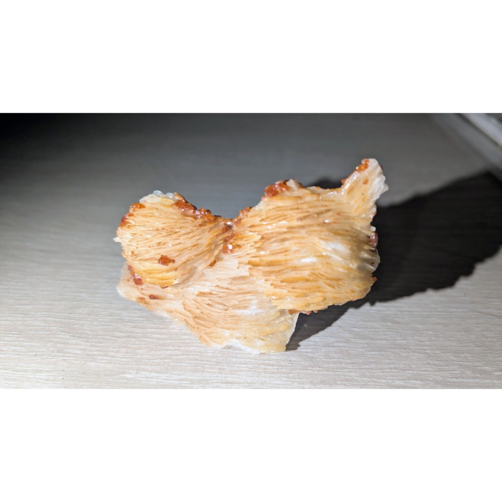 摩洛哥 釩鉛礦共生重晶石 扇形結晶 礦物標本 收藏件-細節圖3