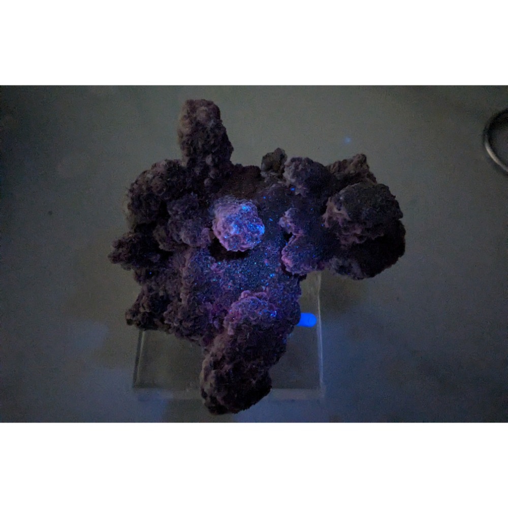 玫瑰狀方解石（Rose Calcite / 玫瑰方解石）-細節圖9