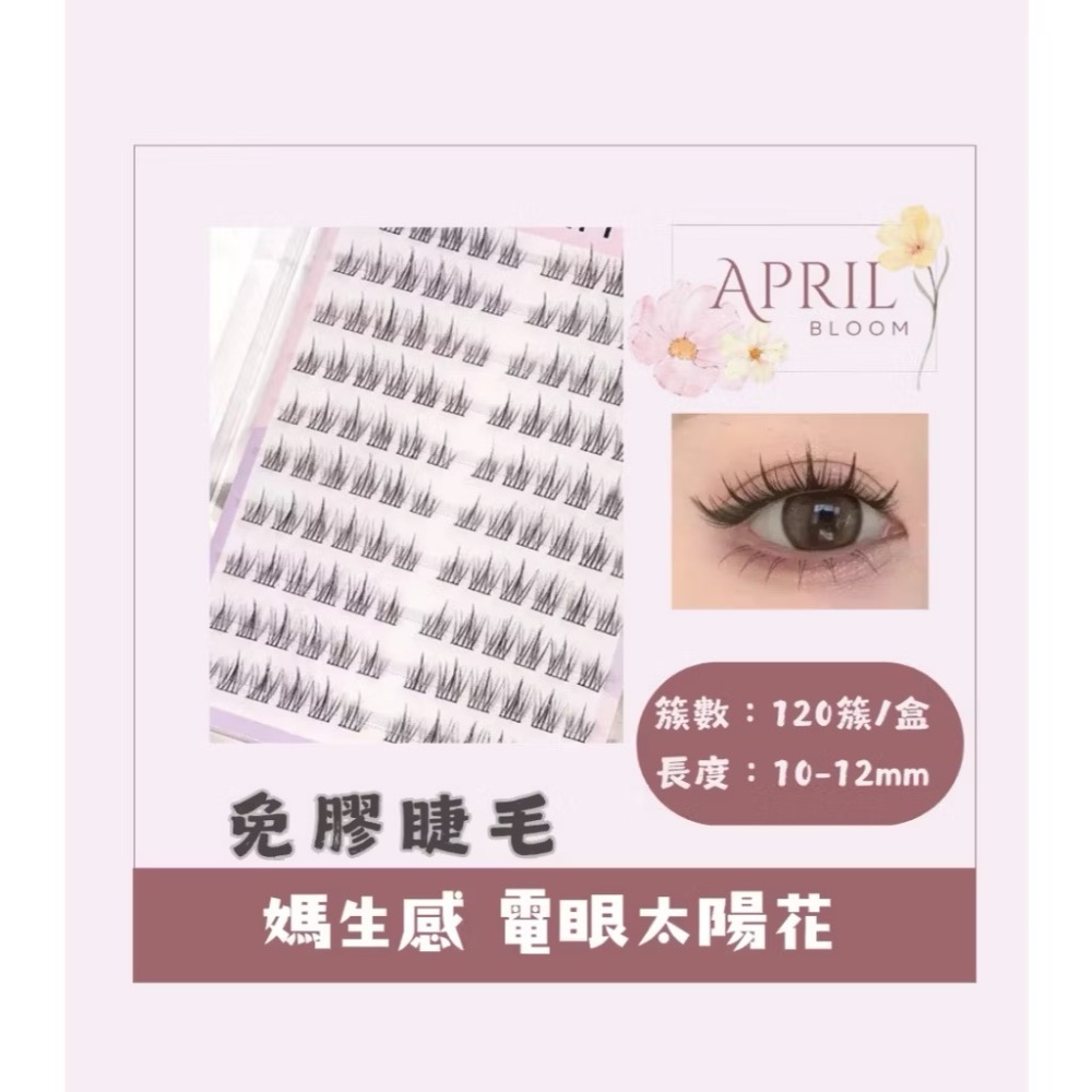 電眼太陽花【上睫毛】