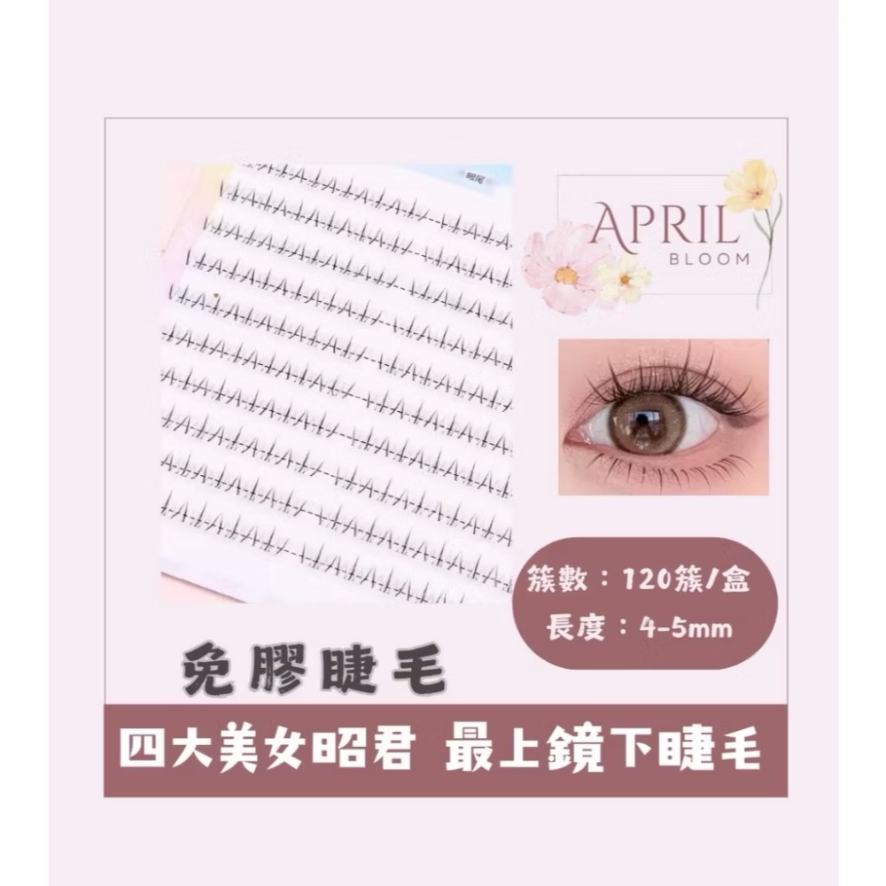 昭君【下睫毛】