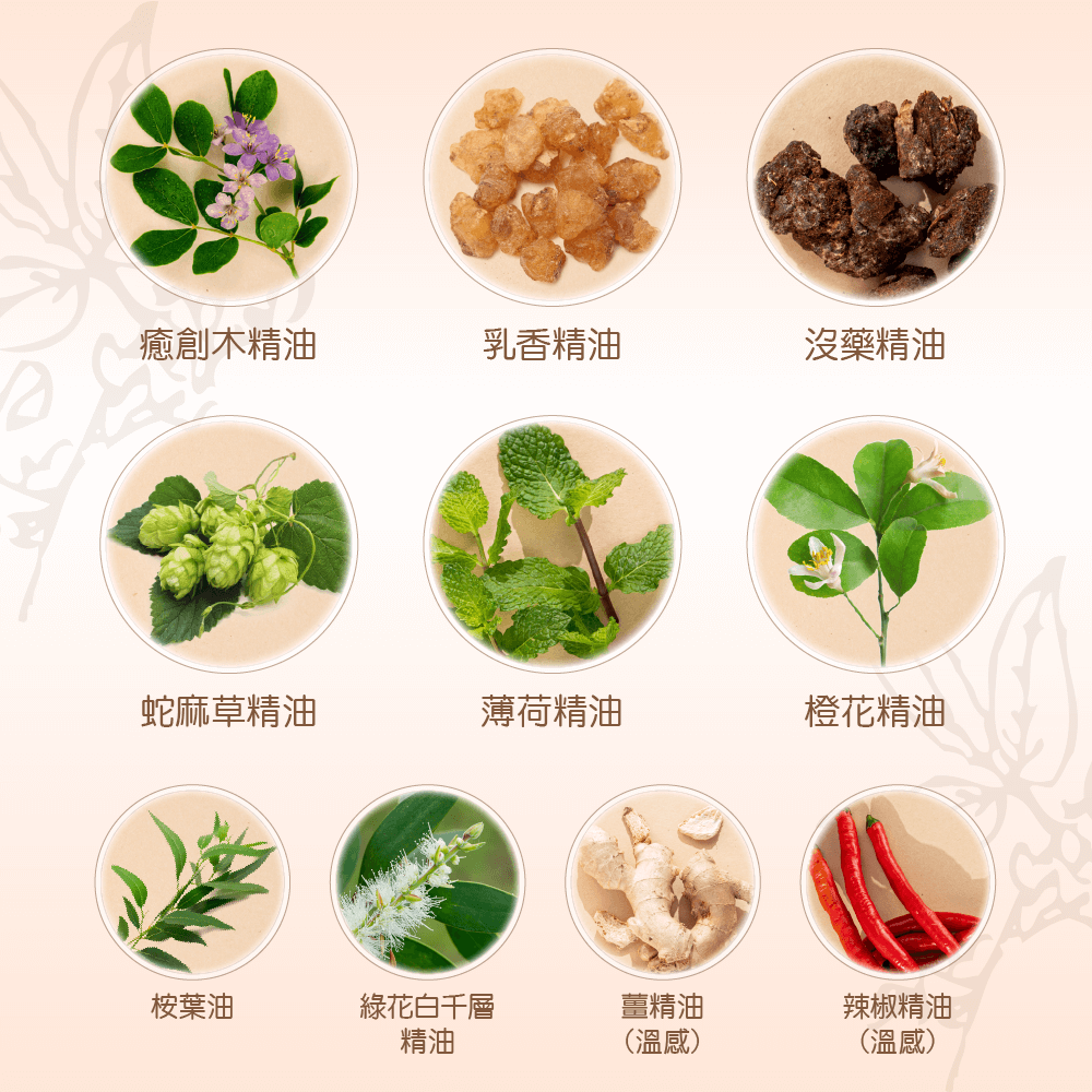 【正光直營】正光醫條根舒緩精油禮盒組-涼感套裝組-細節圖5