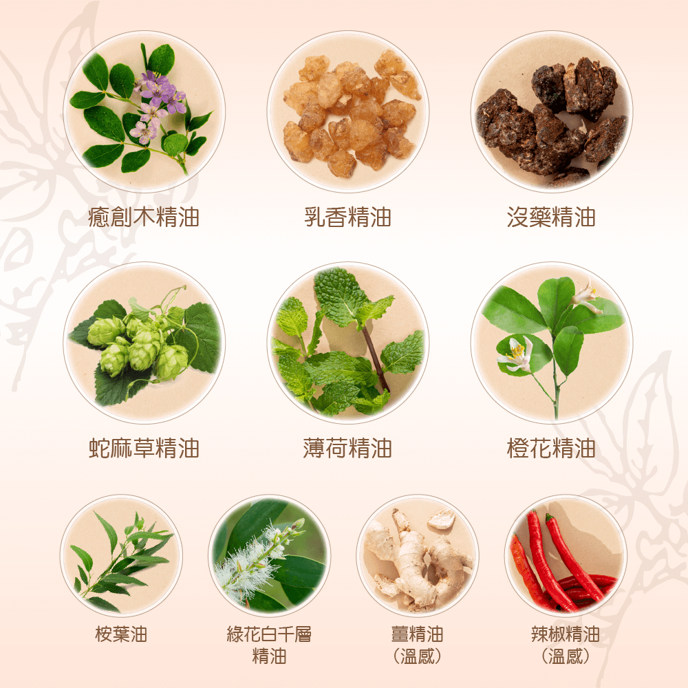 【正光直營】正光醫條根舒緩精油禮盒組-溫感套裝組-細節圖5