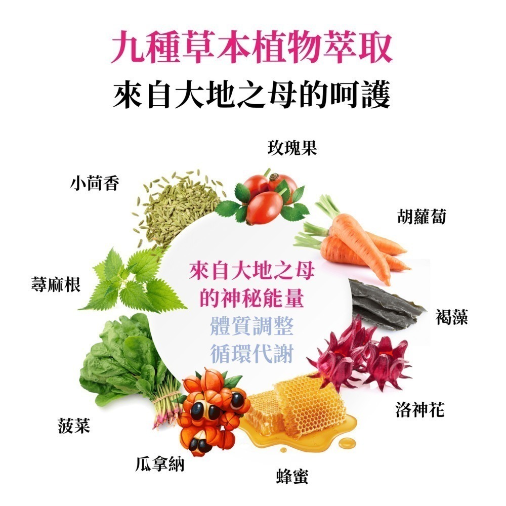 威客維 醇萃活鐵補精 15mlx10支盒-細節圖6