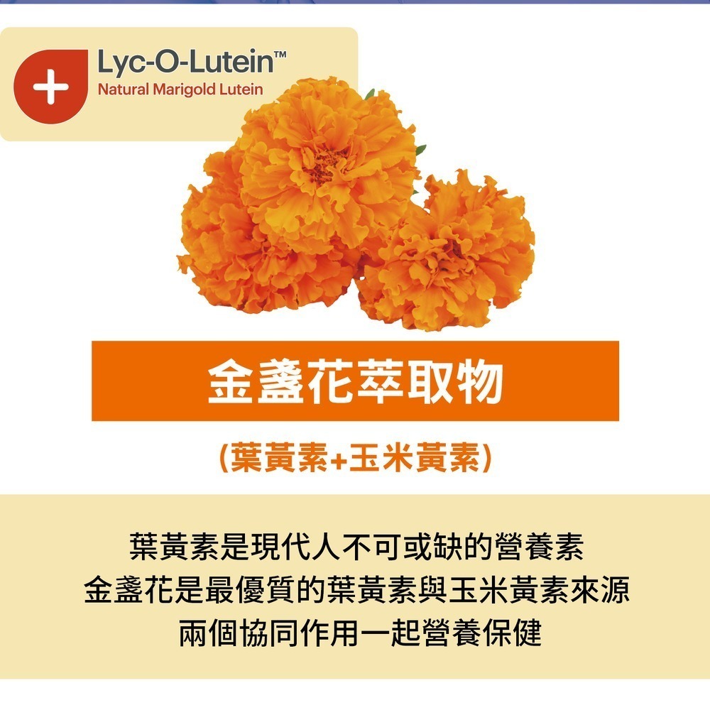 VIGOWAY威客維 威而潤PLUS智利酒果粉包 30包/盒-細節圖4