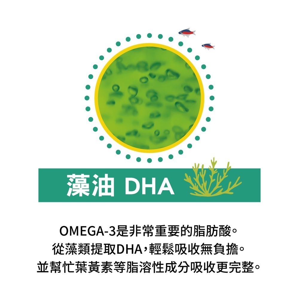 VIGOWAY威客維 威而潤PLUS智利酒果粉包 30包/盒-細節圖5