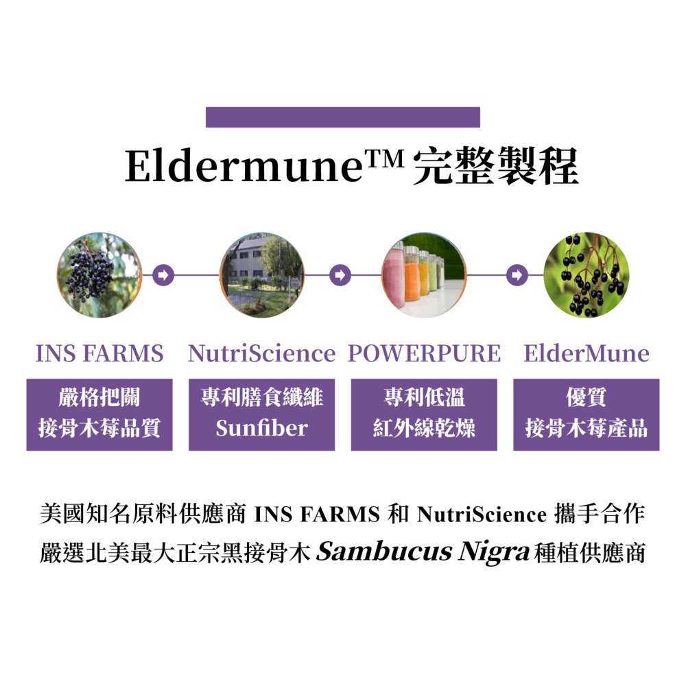 VIGOWAY威客維 威護伸 接骨木莓粉包 (30入)-細節圖6