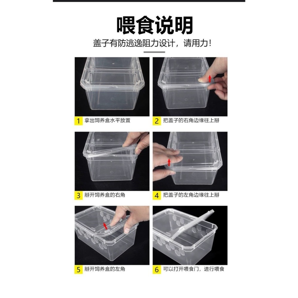 爬蟲高透飼養盒-細節圖5