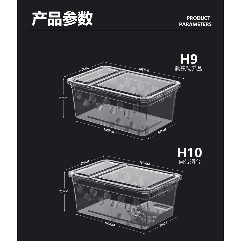 爬蟲高透飼養盒-細節圖6