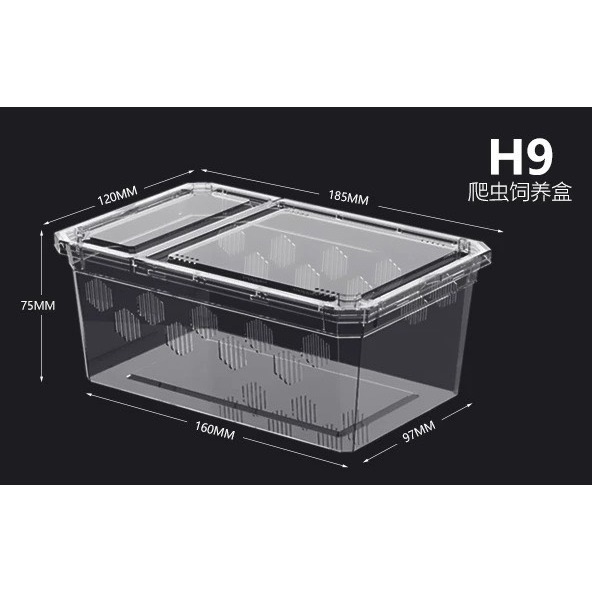 爬蟲高透飼養盒-規格圖6