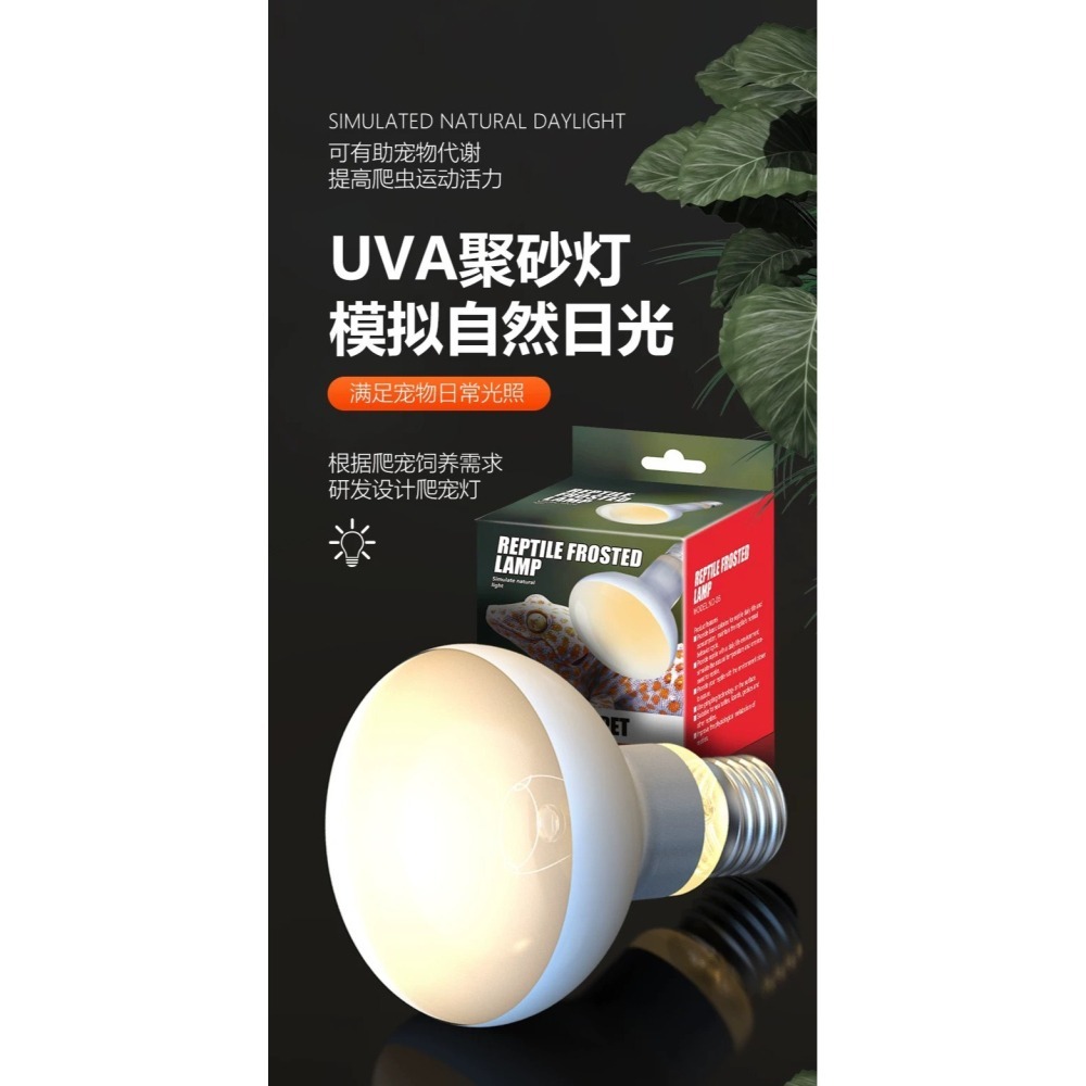 NOMO 諾摩 - UVA 聚砂燈泡 50W/100W加溫燈、曬背燈、陸龜燈／爬蟲燈／爬蟲日燈／爬蟲加溫燈／聚熱燈泡／-細節圖3