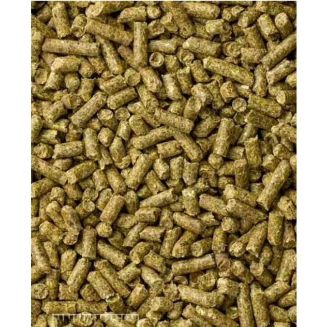 [原廠包裝] 美國 Mazuri 馬祖瑞 瑪滋力 龍貓專用飼料 1KG 龍貓專用飼料 金吉拉鼠 絨鼠飼料 馬祖瑞龍貓飼料-細節圖3