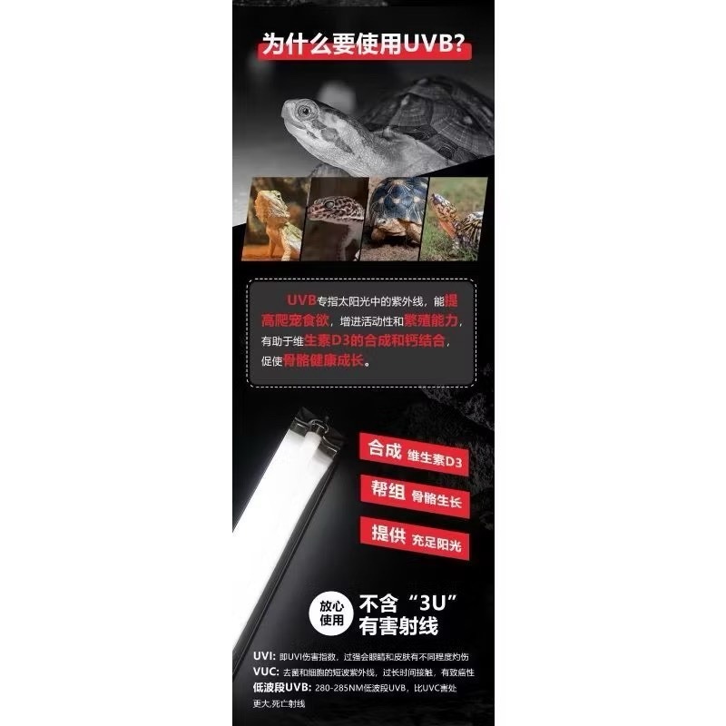 爬寵uvb曬背燈架 T5燈座組 鬃獅蜥蜴 守宮 陸龜 爬蟲補鈣套裝 專業紫外線燈 爬寵燈具 守宮用品 爬寵用品-細節圖6