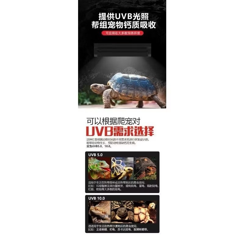 爬寵uvb曬背燈架 T5燈座組 鬃獅蜥蜴 守宮 陸龜 爬蟲補鈣套裝 專業紫外線燈 爬寵燈具 守宮用品 爬寵用品-細節圖7