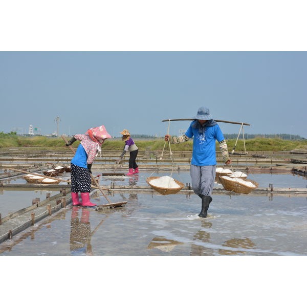 <米麴本舖> 本年度新收成海鹽 洲南鹽場 粗鹽 蘊藏日光風土的素鹽 手作鹽麴 味增 泡菜 發酵好朋友 1公斤 CP值最高-細節圖4