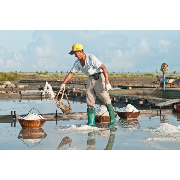 <米麴本舖> 本年度新收成海鹽 洲南鹽場 粗鹽 蘊藏日光風土的素鹽 手作鹽麴 味增 泡菜 發酵好朋友 1公斤 CP值最高-細節圖5