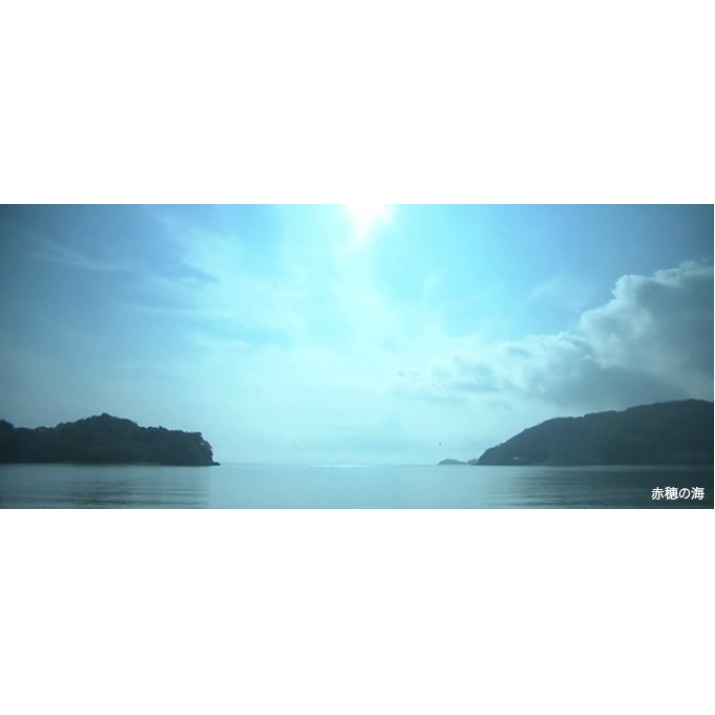 <米麴本舖> (現貨) 日本天日塩田 赤穗 天塩 鹽滷 塩滷 鹽鹵 手工豆腐好幫手 家庭號新包裝 (方便包x4包)-細節圖5