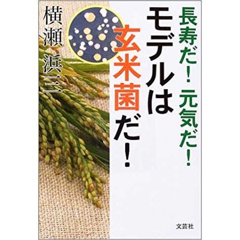 <米麴本舖> 乾燥玄米纖麴 香氣濃郁 纖維質豐富 300g裝 採用日本專業菌種&花蓮金牌良質米 每週新鮮產出供應-細節圖6