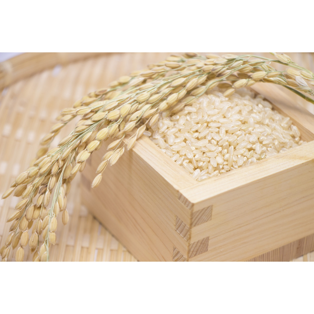 <米麴本舖> 乾燥玄米纖麴 乾燥玄米麴 香氣濃郁 纖維質豐富 1公斤裝 日本專業菌種&花蓮金牌良質米-細節圖3