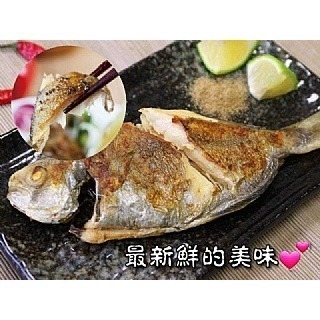 🐟尚蓋青ㄟ 台灣刺鯧魚🐟-細節圖3