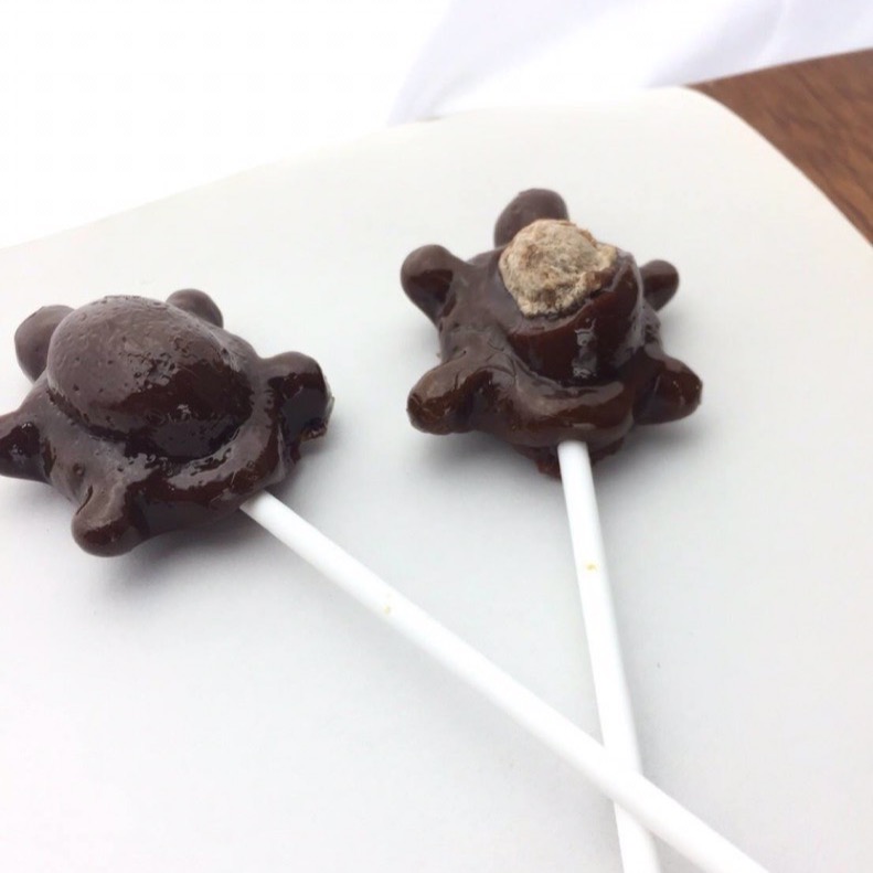 Emily澎湖名產直送🚚 平安龜黑糖棒棒糖 🐢🍭 黑糖 烏龜 棒棒糖-細節圖2