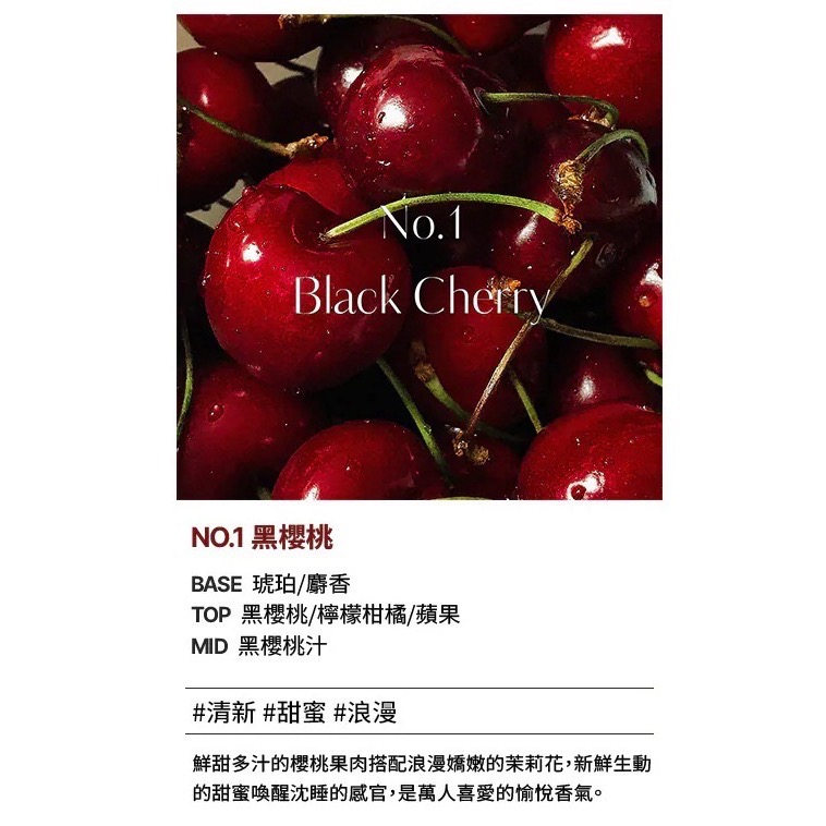 HETRAS 首席調香師擴香 500ml 2入組(GD 擴香)-規格圖1