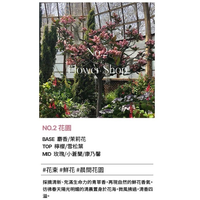 HETRAS 首席調香師擴香 500ml 2入組(GD 擴香)-規格圖1