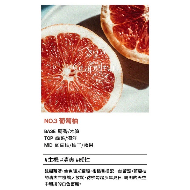 HETRAS 首席調香師擴香 500ml 2入組(GD 擴香)-規格圖1