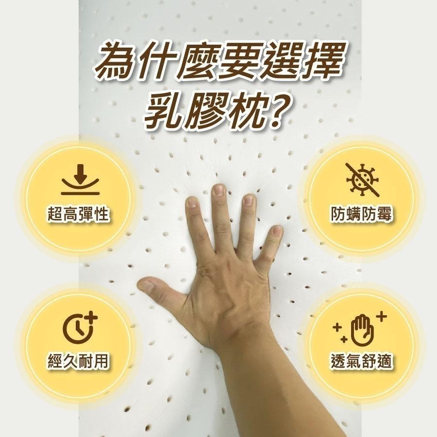 【安迪寢具】天然乳膠枕 Q彈好睡眠 釋放壓力 透氣枕套 枕芯 涼感枕 好眠枕 枕頭 乳膠 天然乳膠 人體工學枕 泰國乳膠-細節圖4