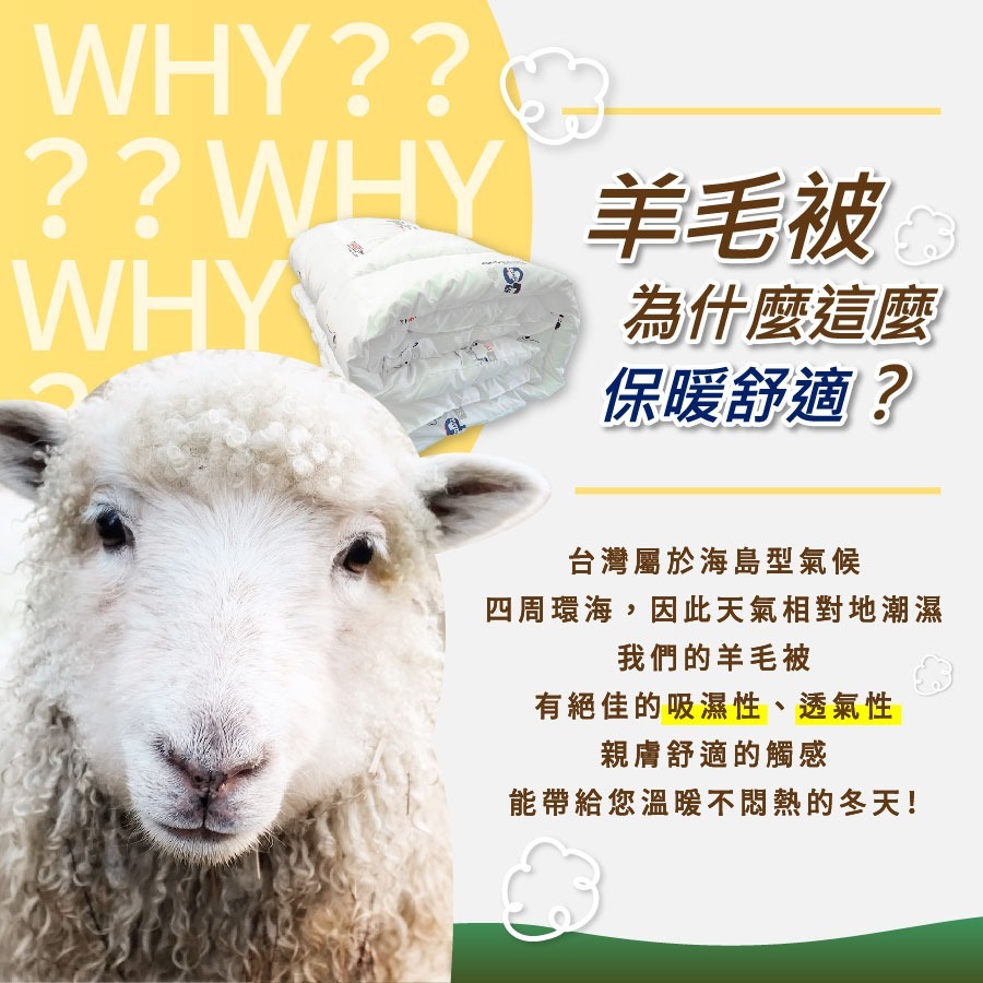 【安迪寢具】紐西蘭羊毛被 羊毛被 被胎 被子 雙人棉被 單人棉被 冬天棉被 冬被 保暖被 發熱被 被芯 台灣製棉被-細節圖4
