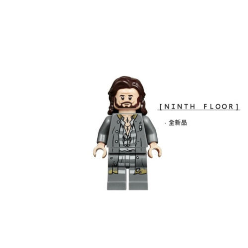 【Ninth Floor】LEGO Harry Potter 75945 樂高 哈利波特 天狼星 [hp174]