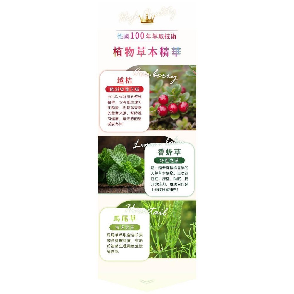 原花青素守住私密健康~蔓越莓亮妍飲_含藍莓私密配方_5瓶超值優惠6750~Salus百年品牌德國原裝進口，提升日常防護-細節圖5
