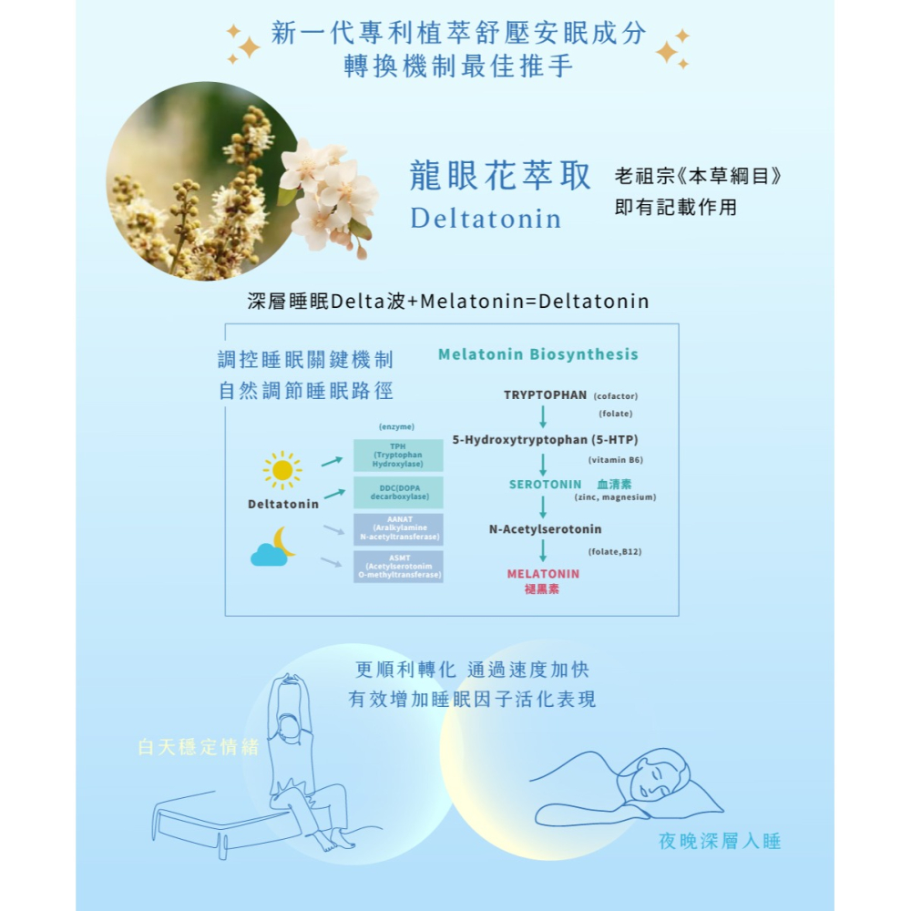 2瓶特價2856~長青寶 舒益眠PLUS 原價1680，六大完整成分互相協力~有效在白天穩定情緒，夜晚能深層入睡-細節圖9